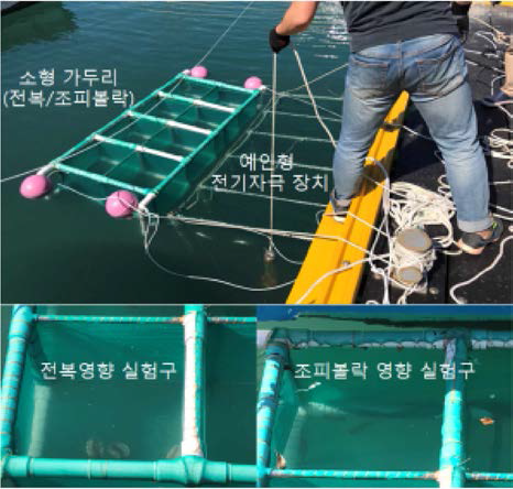 The field test of effectiveness on the rockfish and abalone by the seine type electric stimulation