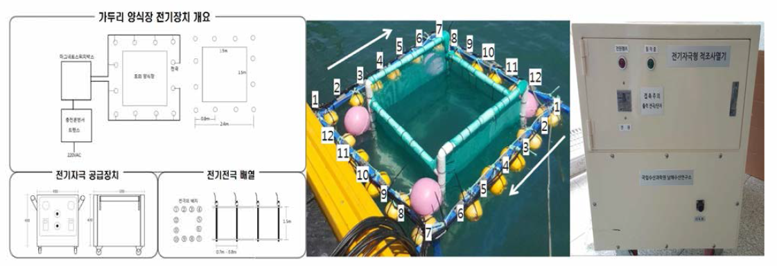 The device compositions and working process of the cage type electric stimulation