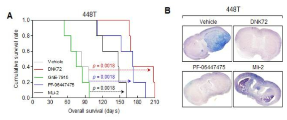 뇌종양 환자 세포주에서 개발한 LRRK2 저해제 DNK72와 타사 약물과의 비교 전임상 동물실험 결과