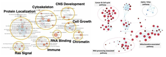 암단백유전체 분석을 통해 확인한 LRRK2 signaling pathway 분석