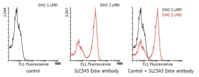Fluorescence-activated cell sorter (FACS) using newly synthesized NIS antibody.