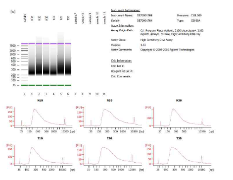 갑상선세포주 nuclei isolation & trans