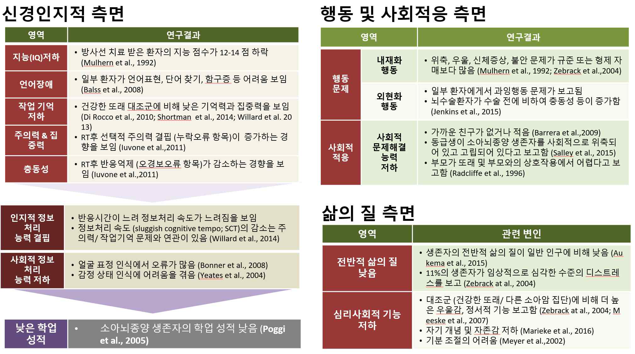 소아뇌종양환자의 장기간 추적 연구에 의해 밝혀진 인지, 행동, 사회적 측면에서의 기능저하