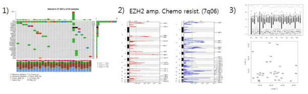 난소암 유전자 정보 분석 1) WES 분석을 통한 주요 유전체 변이 발굴. 2) CNV 분석 결과를 통해 파악한 amplification, deletion 영역, 이중 화학치료 내성과 관련된 EZH2 amplification을 발견할 수 있었음. 3) RNA-seq 분석에서의 QC 수행 및 샘플 outlier 상태 파악. 이를 통해 제거 대상을 확정