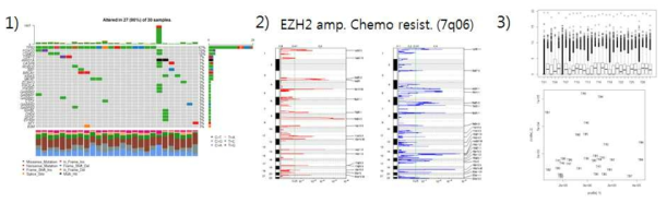 난소암 유전자 정보 분석. 1) WES 분석을 통한 주요 유전체 변이 발굴. 2) CNV 분석 결과를 통해 파악한 amplification, deletion 영역, 이중 화학치료 내성과 관련된 EZH2 amplification을 발견할 수 있었음. 3) RNA-seq 분석에서의 QC 수행 및 샘플 outlier 상태 파악. 이를 통해 제거 대상을 확정