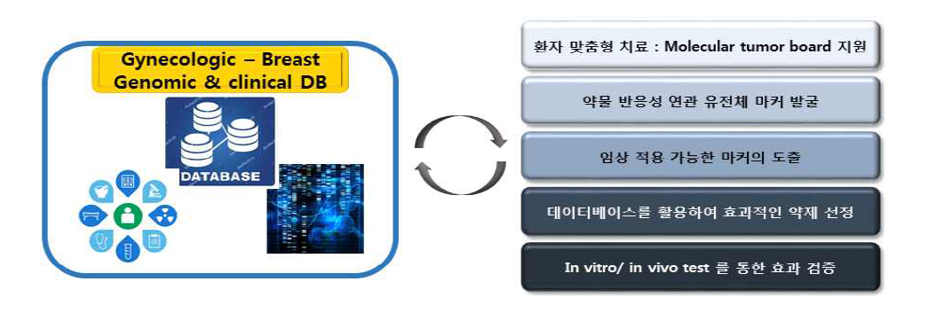 연구 개발 개요