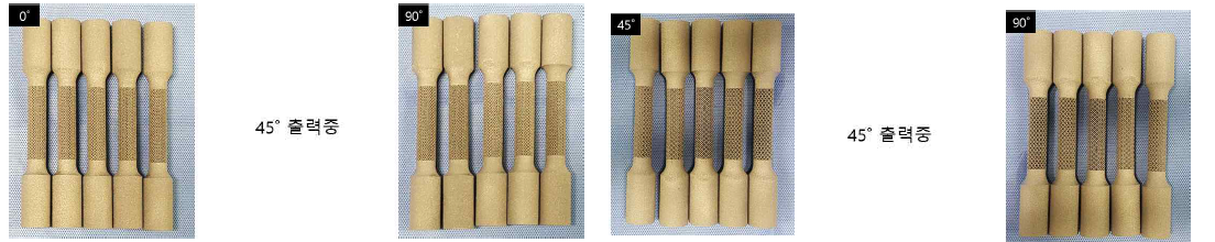 2mm 및 3mm 적층방향( 0°,45° 및 90°)에 따른 lattice 시편 실제출력물