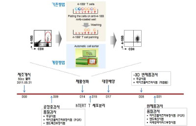 MACSQuant® Tyto를 이용한 T 세포치료제 제조공정 개선