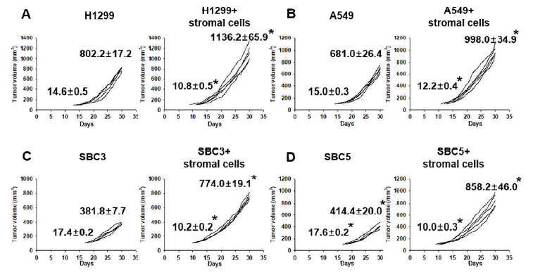 Tumor initiation day and volume of SBC5 single and SBC5+stromal cells