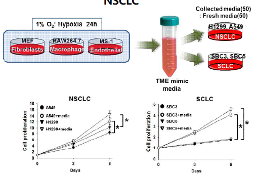 Cell growth of NSCLC and SCLC contained with TME mimic conditioned media