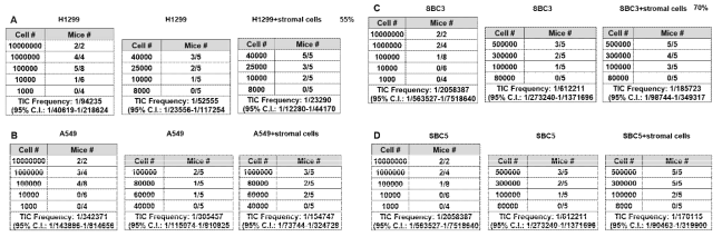 TIC frequency of SBC5 single and SBC5+stromal cells