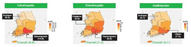 지역별 간내 담도암, 간외 담도암, 담낭암 연평균 발생률(/10만명), 2006-2015