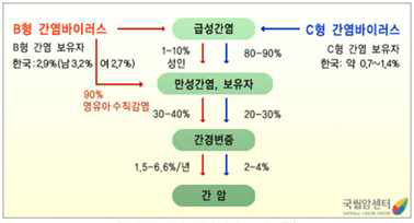 바이러스성 간염에서 간암으로의 진행 (출처: 국립암센터)