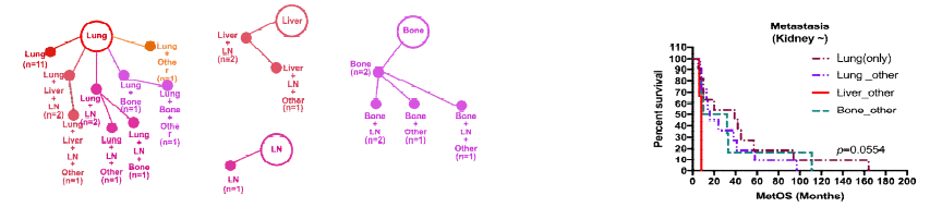 The (A) spreading metastatic pattern and (B) Kaplan Meier overall survival curves according to metastatic sites among 32 patients with mRCC