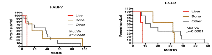 The metastatic overall survival curve with the combination of EGFR and FABP7 gene mutation in liver metastatic RCC