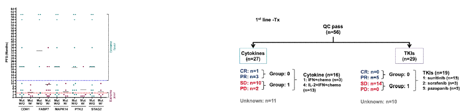 The grouping diagram according to A. extreme survival prognoses and B. therapeutic responses based on RECIST criteria v1.1