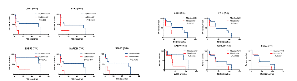 The Comparison of A) PFS and B) OS curves according to the presence of either CDH1, PTK2, MAPK14, FABP7 and STAG2 gene mutation in patients with mRCC treated with targeted therapy