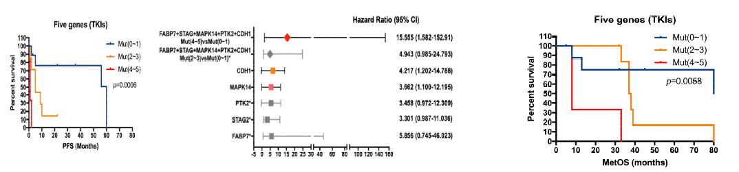 (A) PFS and (B) OS curves according to the combinations of the presence of these CDH1, PTK2, FABP7, MAPK14, STAG2 gene mutations