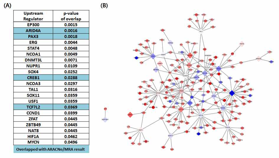 Ingenuity Pathway Analysis results. (A) Transcription regulator list from upstream analysis. 27 transcription regulator are p-value <0.05. (B) Visualization of transcriptional regulatory network of 27 transcription regulator. The rhombus indicates transcription factors and circle indicates target genes