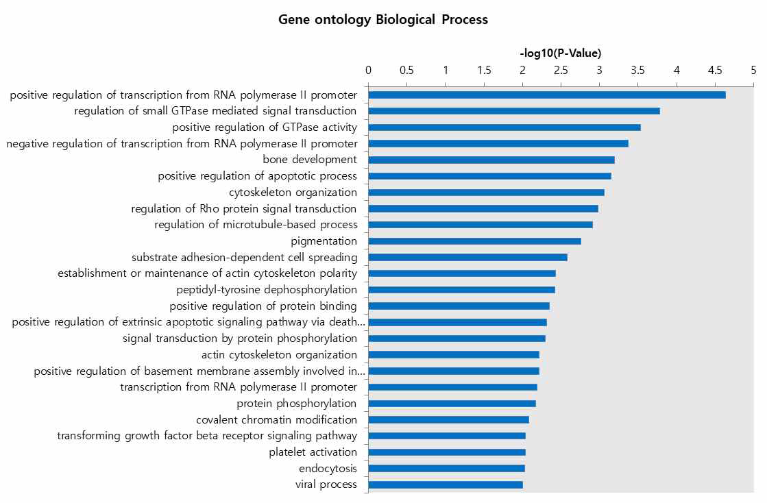 Gene ontology analysis of signature genes