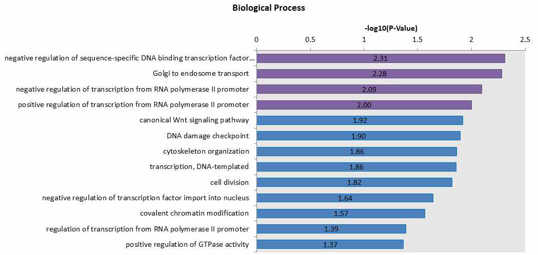 Gene ontology analysis of CREB1 and TCF7L2 target gene