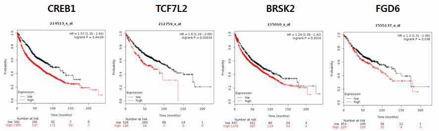 NSCLC patient survival