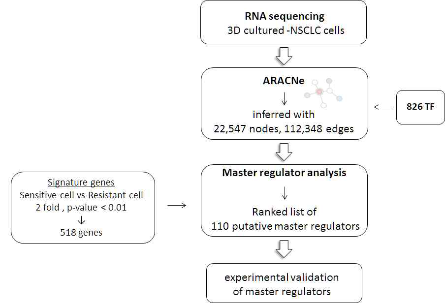 Transcriptional network analysis workflow overview