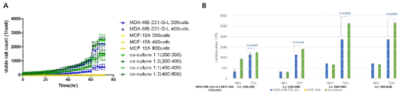 (A) 유방 상피 세포주 (MCF-10A)와 유방암 세포주 (MDA-MB-231-G-L)의 GFP의 시간에 따른 (24hr, 48hr, 72hr) 측정 결과. (B) 동시 배양한 유방암 세포주의 luciferase를 확인한 결과 (48hr, 72hr)