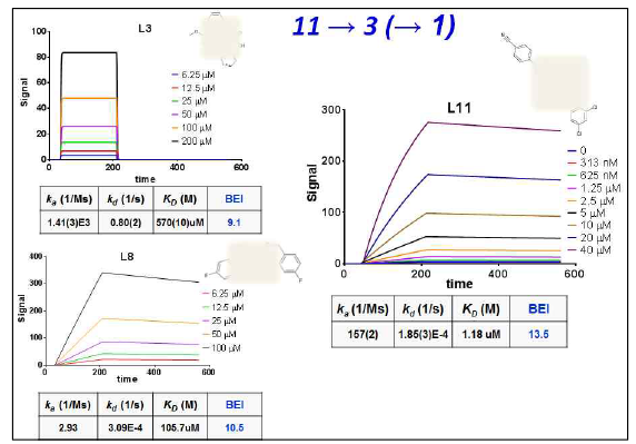11개 화합물의 SPR 실험 중 3개 hit에 대한 결과