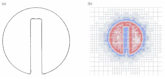 Wavelet collocation 방법을 이용한 level-set 방정식 해석 예시 (Shervani-Tabar & Vasilyev, 2018)