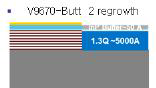 butt-joint growth 모식도