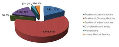 말레이시아 전통의학 종사자 구성비(2016년 기준)