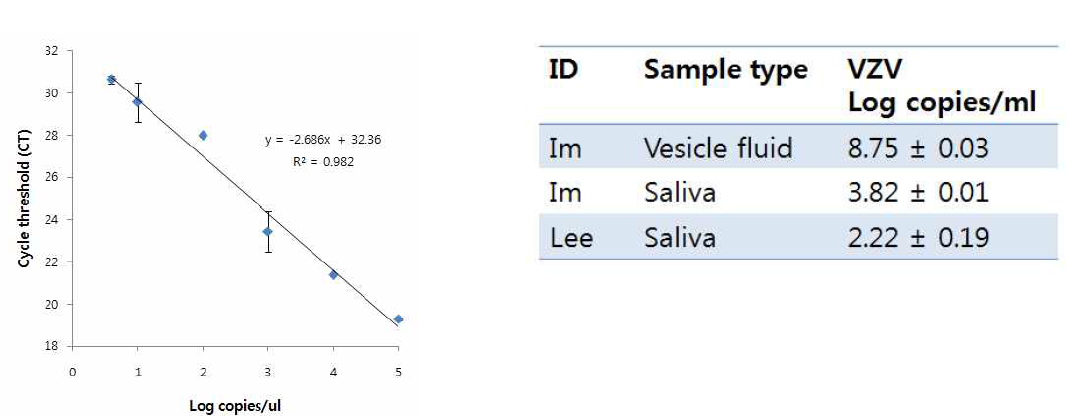 VZV에 대한 quantitative PCR을 시행한 standard curve와 대상포진 환자의 수포와 타액에서 VZV viral load를 측정한 결과
