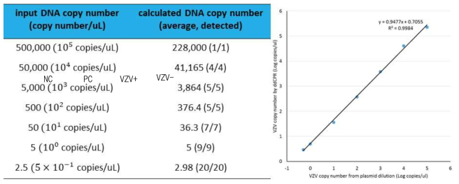 Digital VZV-specific PCR set-up. Targeting for Immediate Early 62 protein을 하는 digital PCR을 통해 극소량의 잠복된 바이러스를 검출할 수 있는 실험방법을 확립함