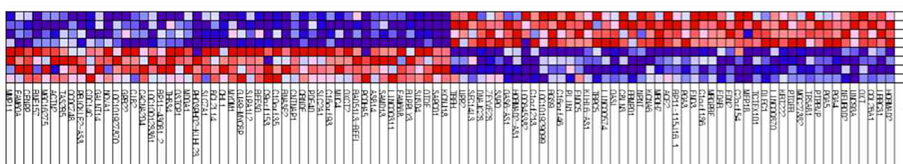 Heat Map of the top 50 features for each phenotype