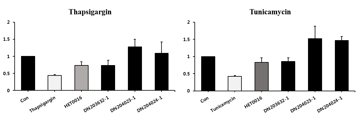 CYP4A 활성저해제 HET0016 유도체 glucose uptake 결과