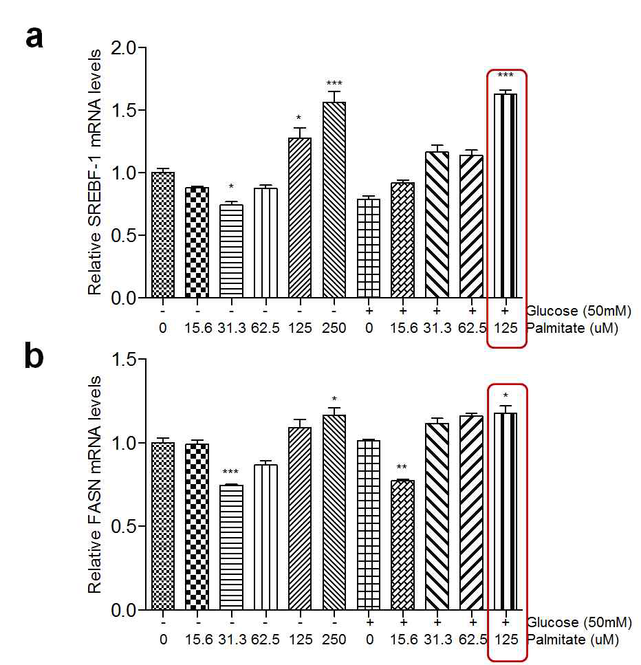 Glucose와 palmitate 농도에 따른 (a) SREBP1과 (b) FASN의 발현 증가를 qPCR로 확인함. One-way ANOVA, followed by pair-wise comparisons with a Dunnett`s multiple comparison test