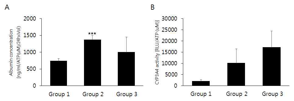 세포수에 따라 형성된 오가노이드로부터 (A) Albumin secretion 및 (B) CYP3A4 activity 비교