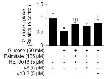 CYP4A in silico 저해제 #8, #18에 의한 glucose uptake 회복