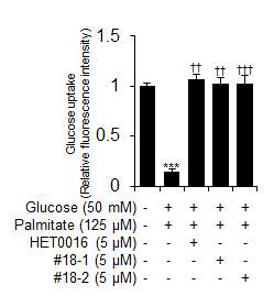 #18-1 및 #18-2의 처리에 의한 glucose uptake 회복