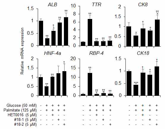#18-1 및 #18-2의 처리에따른 hepatic markers mRNA의 발현 양상 변화