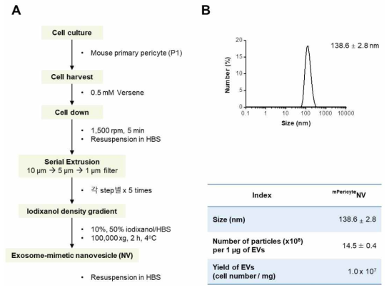 Experimental procedure for preparation of pericyte-derived exosome