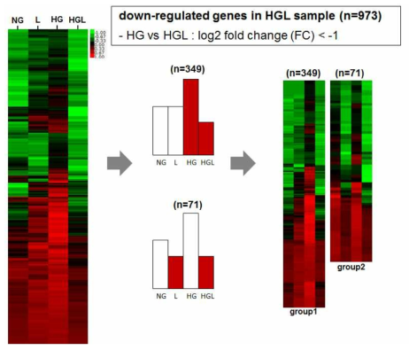 혈관성 발기부전 조직 RNA sequencing 후 LRG1 처리에 의해 감소한 유전자 heat-map
