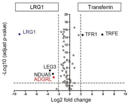 LRG1-TriCEPS 기법을 활용하여 LRG1의 수용체 ADGRL 발굴