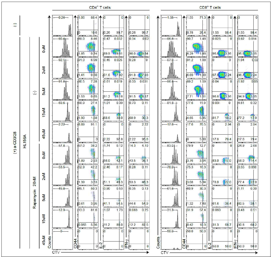 in vitro에서 HL156A 단독 처리와 Rapamycin과의 combination 처리시 CD4+ T cell 및 CD8+ T cell proliferation에 미치는 synergistic effect