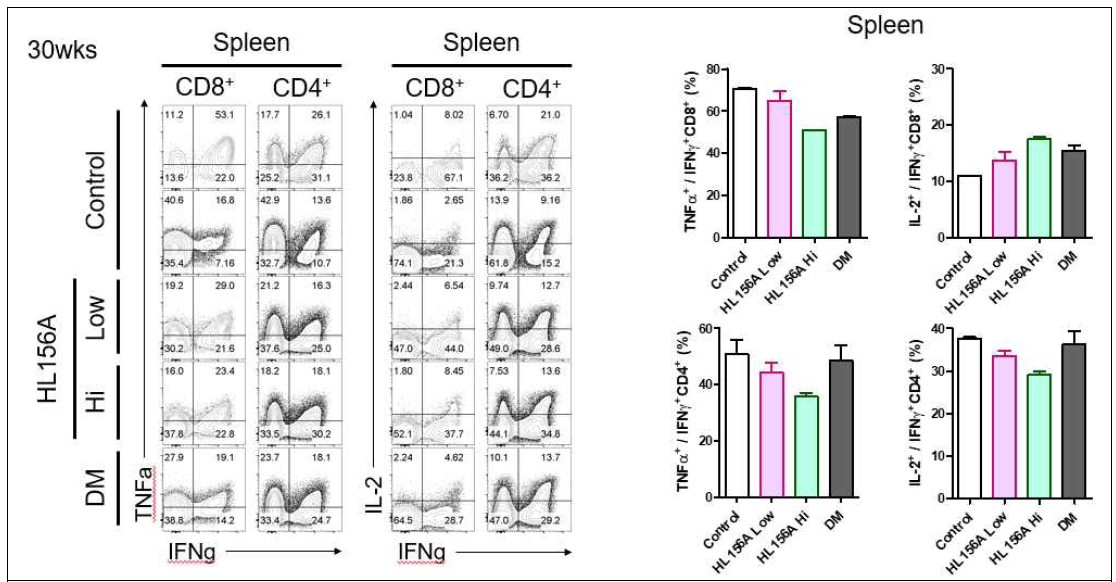 Spleen에서 T cell cytokine 생성능 변화