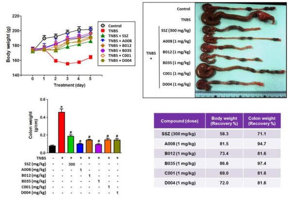 TNBS처리 랫드 장염에서 피리딘올 유도체 5종의 경구 투여 활성 분석: 체중 및 장 무게 회복