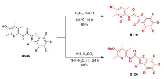 B035의 피리딘올 고리 변형 유도체 합성-2