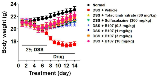 DSS-유도 장염 마우스의 체중 변화에 대한 경구투여 B107의 회복 효과