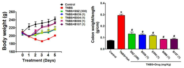 B099와 B107 화합물의 TNBS-유도 랫드 장염 억제 효과